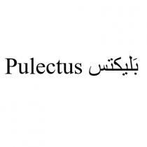 Pulectus;بَليكتس