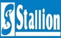 stallion S