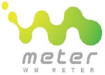 WM meter