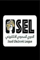 sel Saudi Electronic League;الدوري السعودي الالكتروني