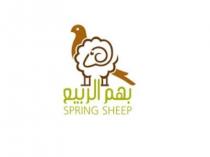 spring sheep;بهم الربيع