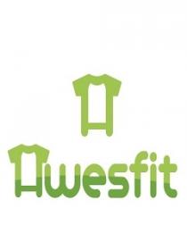  h HWESFIT