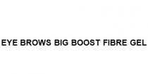 EYE BROWS BIG BOOST FIBRE GEL