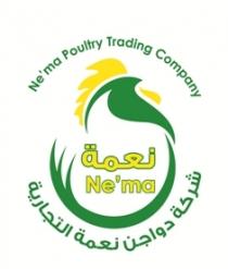 Ne`ma Poultry Trading Company nema;نعمة شركة دواجن نعمة التجارية