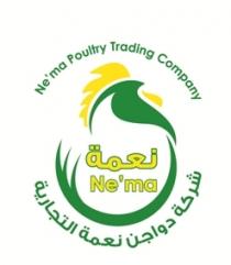 nema Ne`ma Poultry Trading Company; نعمة شركة دواجن نعمة التجارية