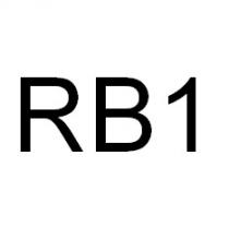 RB1