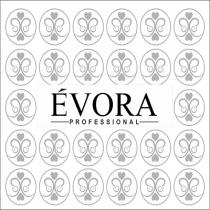 EVORA PROFESSIONAL