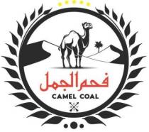 CAMEL COAL;فحم الجمل