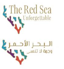 The Red Sea Unforgettable;البحر الأحمر وجهة لا تنسى