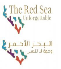 The Red Sea Unforgettable;البحر الأحمر وجهة لا تنسى