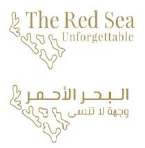 The Red Sea Unforgettable;البحر الأحمر وجهة لا تنسى