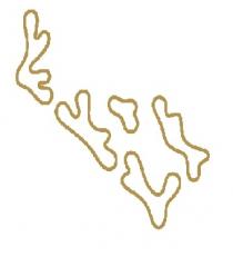 The Red Sea Islands;جزر البحر الأحمر