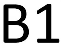 B1