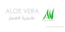 AV aloe vera;شجرة الصبار صالون شجرة الصبار النسائي