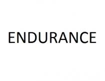 ENDURANCE