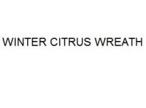 WINTER CITRUS WREATH