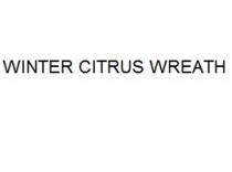 WINTER CITRUS WREATH