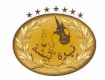 قهوة دلة بيشة الأصلي سبعة نجوم