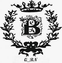 B QBN