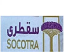 SOCOTRA;سقطرى