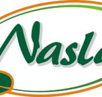 Nasla;نسلا