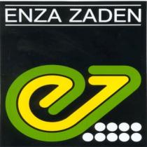 ENZA ZADEN