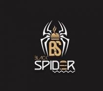 BLACK SPIDER BS