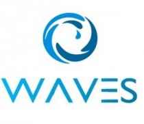 WAVES