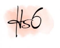 Hs6