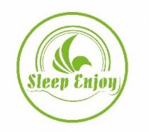 sleep enjoy