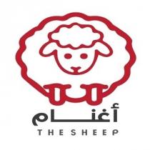 THE SHEEP;أغنام