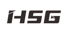 HSG