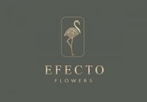 EFECTO FLOWERS