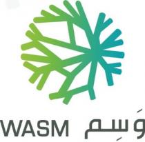 WASM;وسم