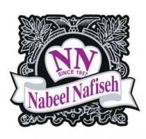 nabeel nafiseh;نبيل نفيسة