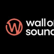 Wall of Sound for Audio and Visual Media Production EST;مؤسسة حائط الصوت للإنتاج الإعلامي المرئي والمسموع 