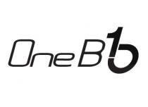 One B 1b