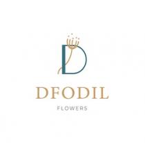 D DFODIL FLOWERS