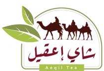 Aeqil Tea;شاي إعقيل