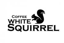 COFFEE WHITE SQUIRREL