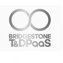 BRIDGESTONE T& DPaaS