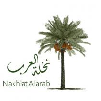 Nakhlat Al Arab;نخلة العرب