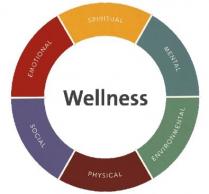 WELLNESS SPIRITUAL MENTAL ENVIRONMENTAL PHYSICAL SOCIAL EMOTIONAL