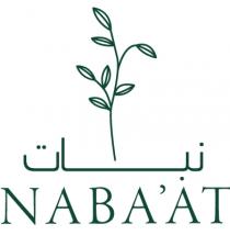 NABA'AT;نبات