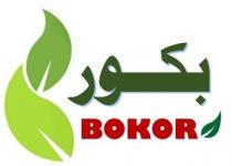 BOKOR;بكور