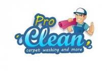 pro clean carpet washing and more