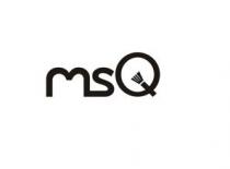 MSQ