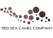 RED SEA CAMELCOMPANY; شركة إبل البحر الأحمر