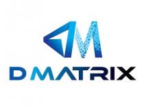 DMatrix DM