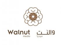 walnut media;والنت ميديا